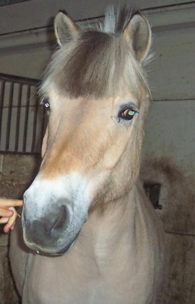 Bouba